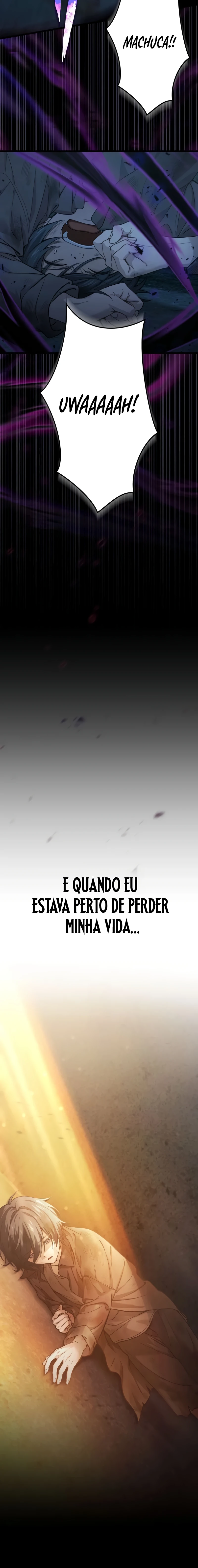 Página 12 do Capítulo 1