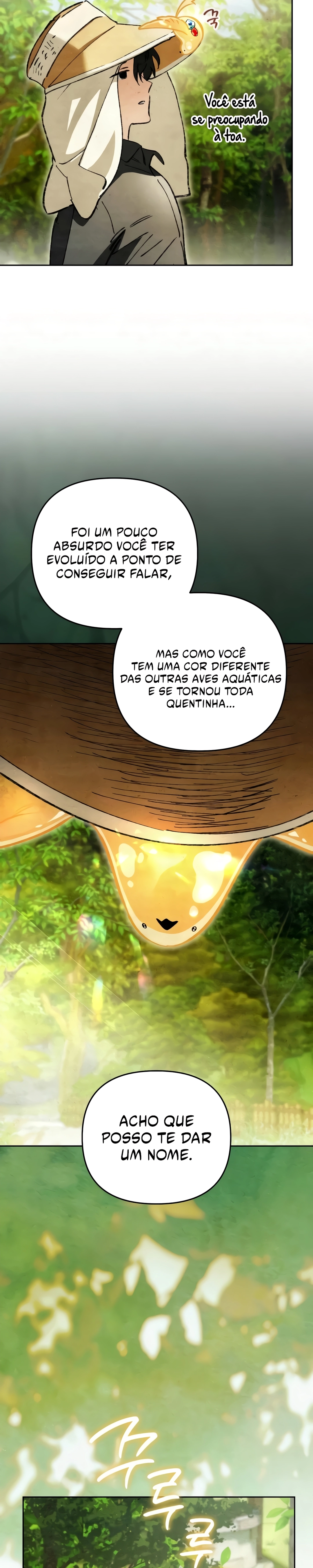 Página 11 do Capítulo 10