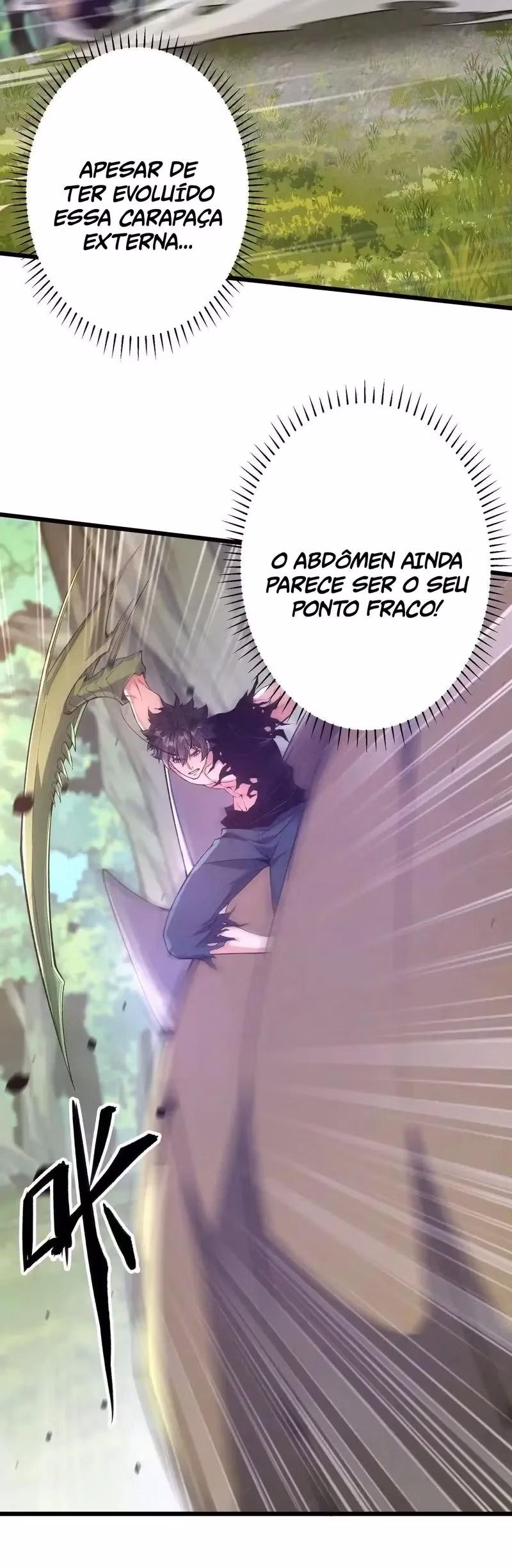 Página 13 do Capítulo 17