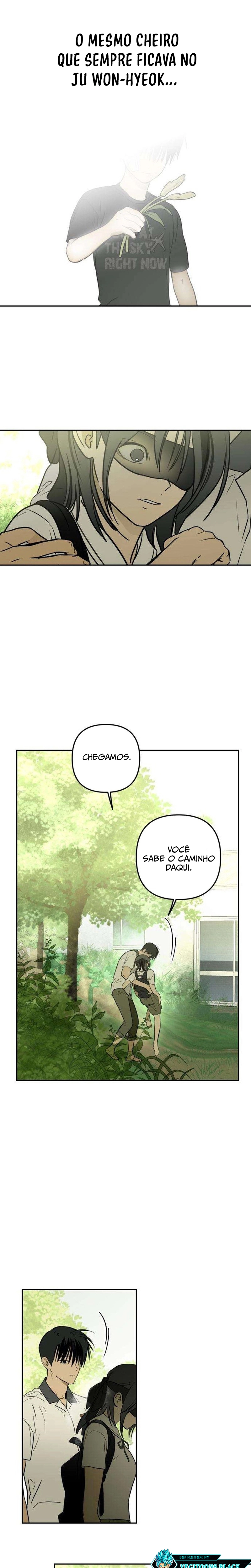 Página 17 do Capítulo 15
