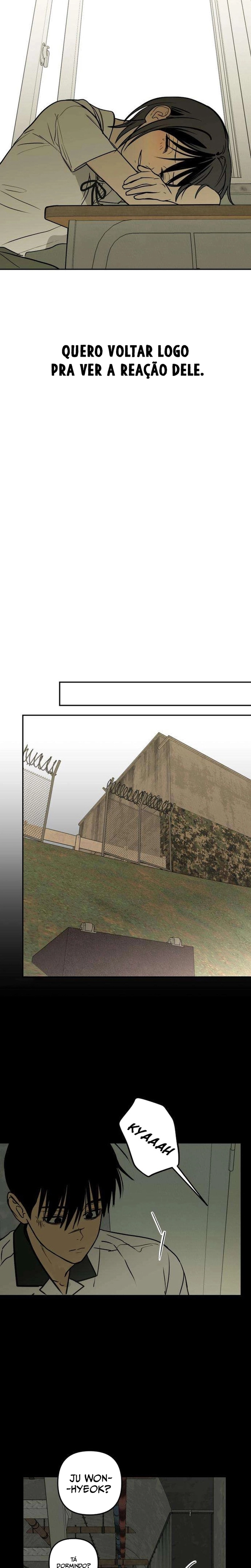 Página 19 do Capítulo 20