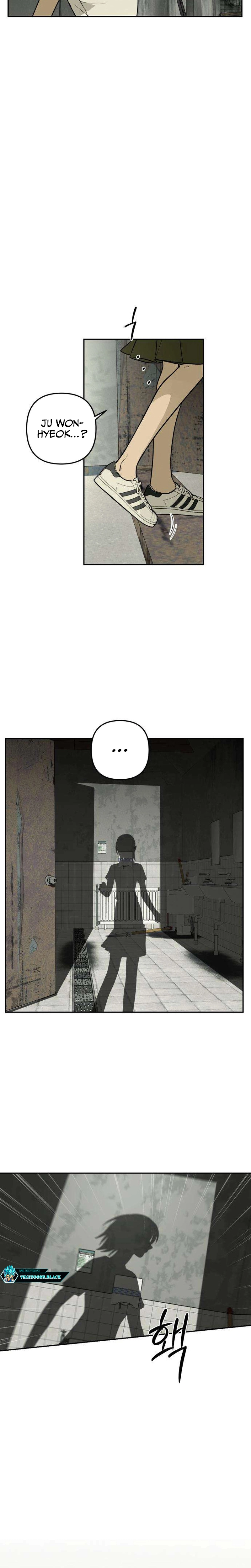 Página 17 do Capítulo 6