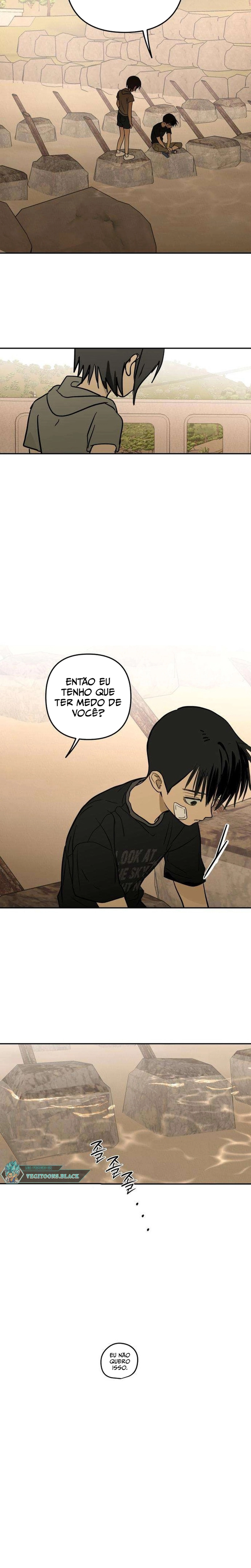Página 20 do Capítulo 17