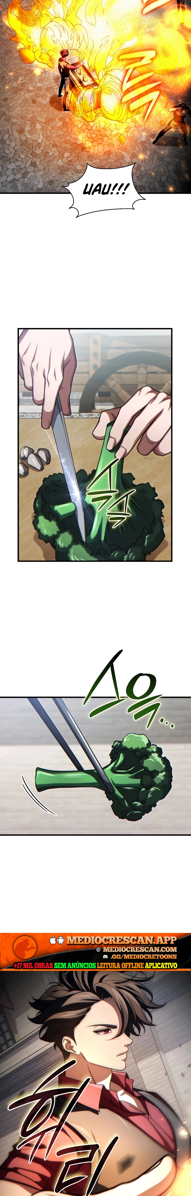 Página 13 do Capítulo 17
