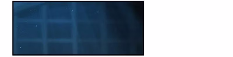 Página 58 do Capítulo 1