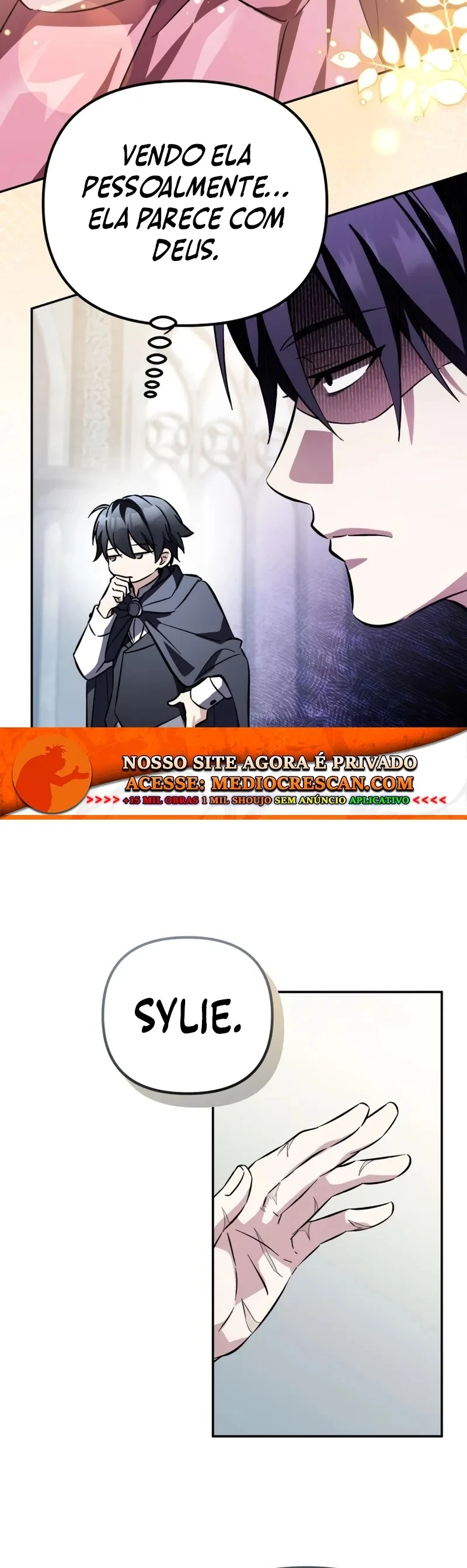 Página 29 do Capítulo 22