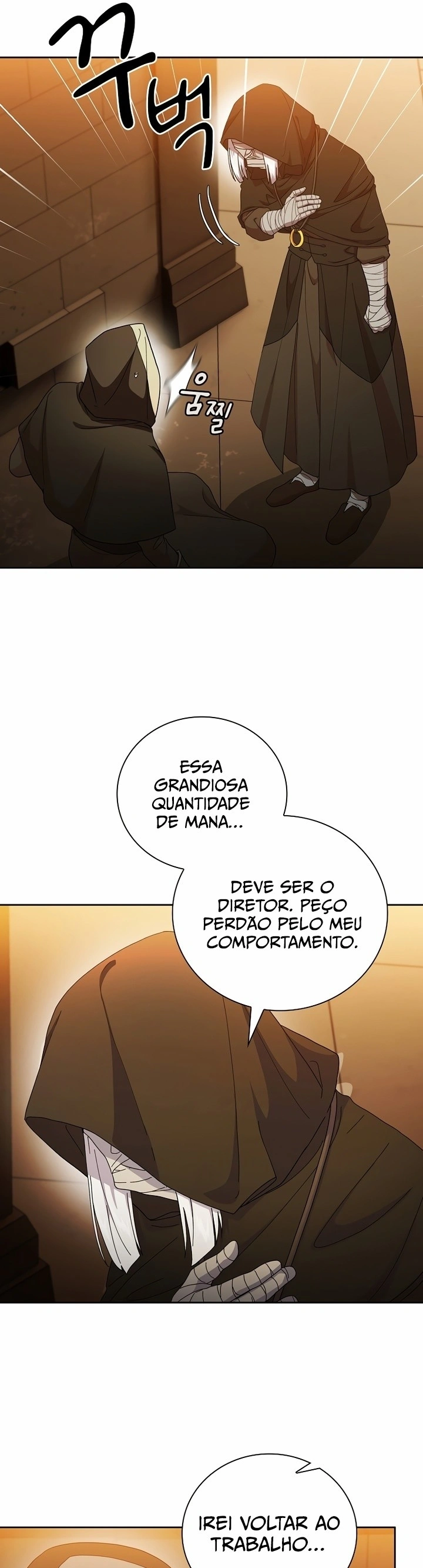 Página 19 do Capítulo 41