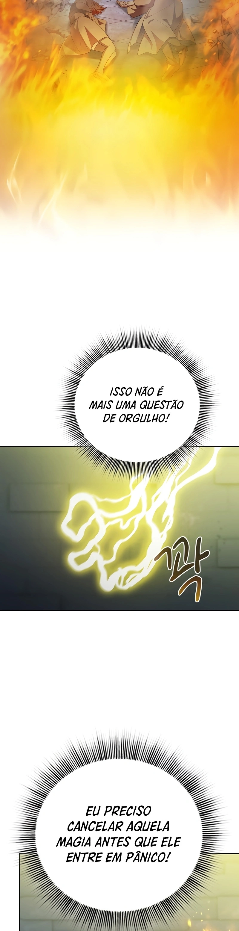 Página 28 do Capítulo 95