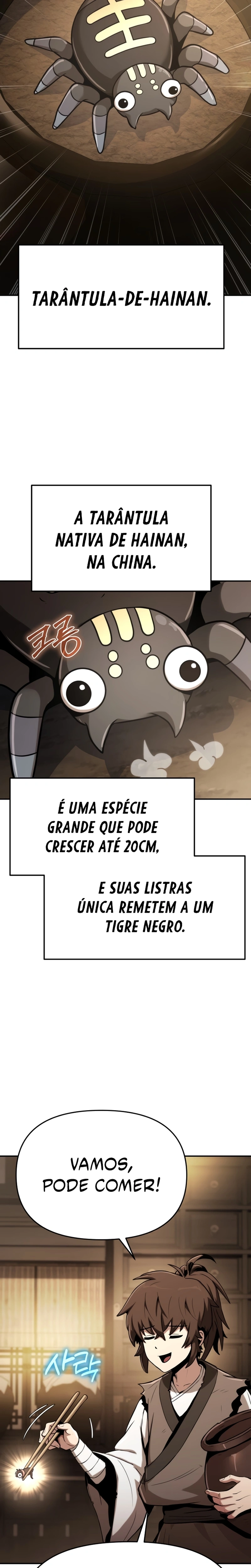 Página 16 do Capítulo 1