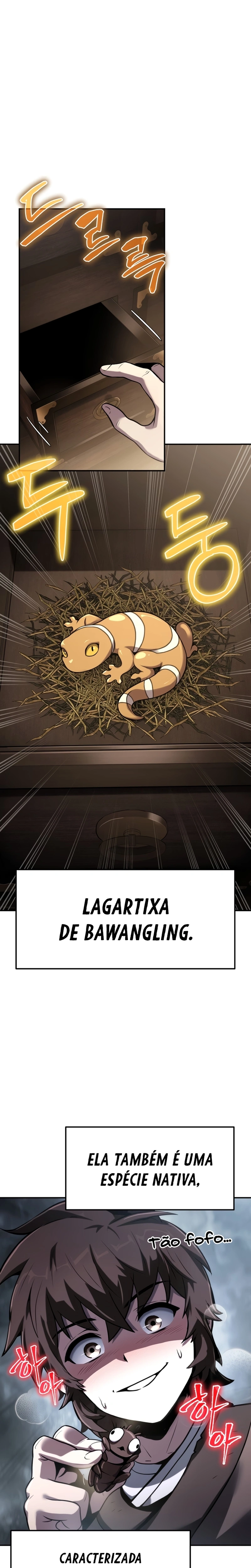 Página 19 do Capítulo 1