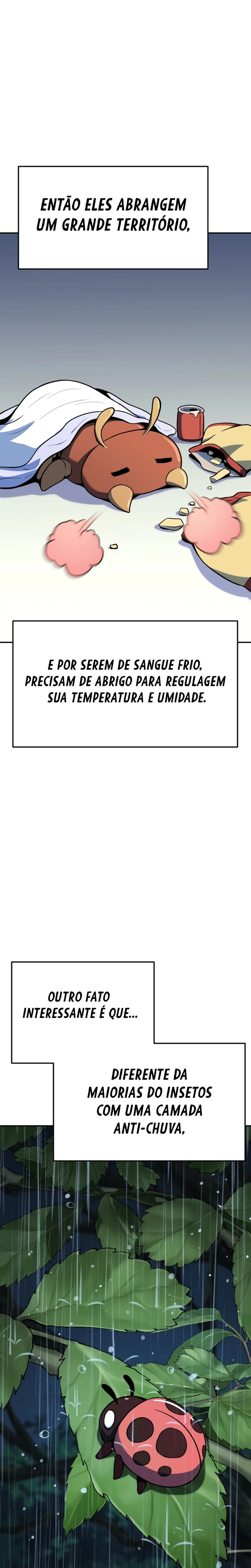 Página 8 do Capítulo 2