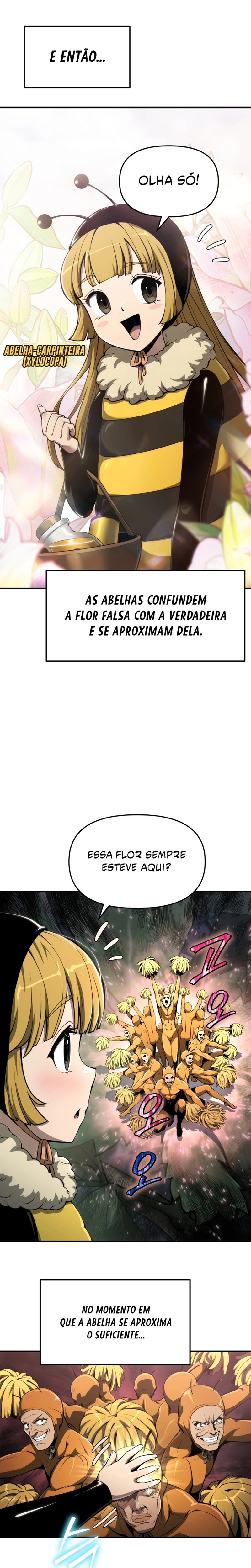 Página 5 do Capítulo 13