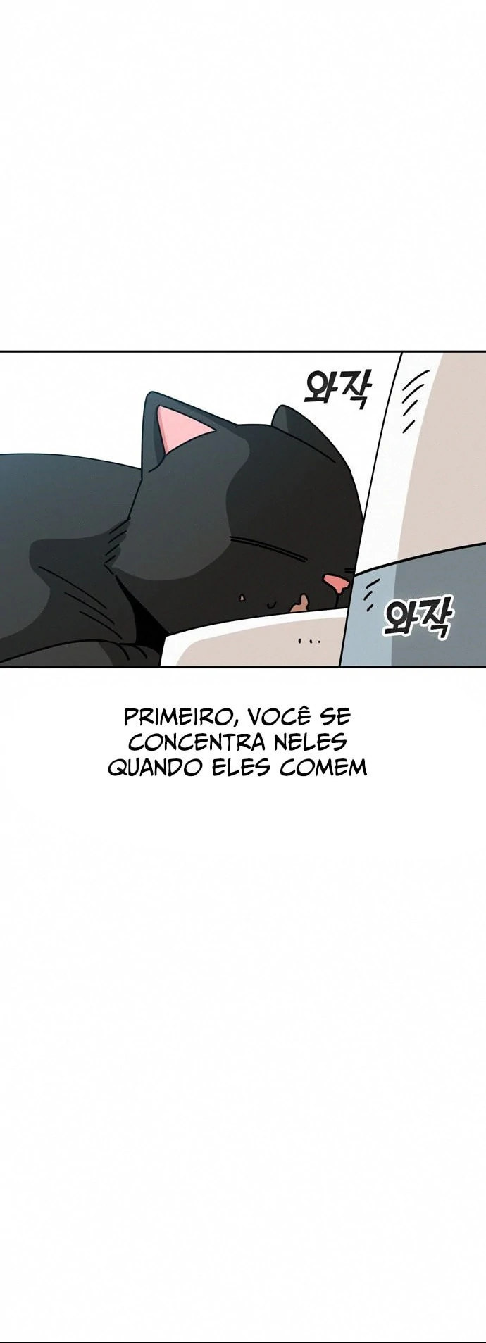 Página 31 do Capítulo 26