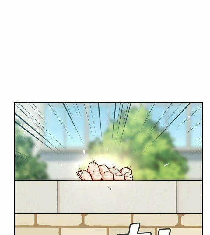 Página 28 do Capítulo 49