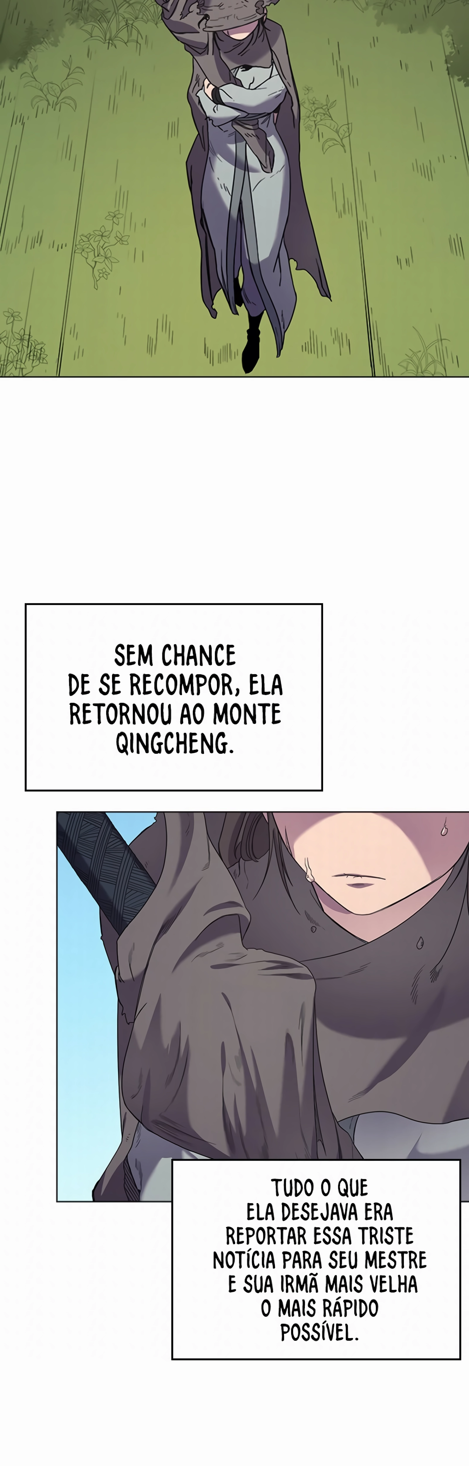 Página 29 do Capítulo 95