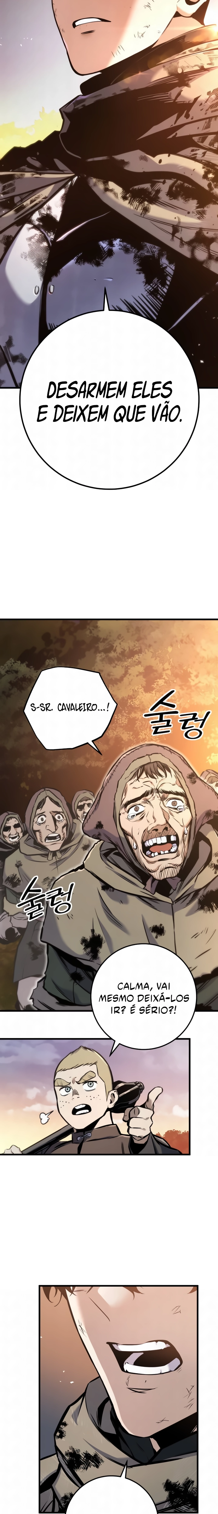 Página 20 do Capítulo 13