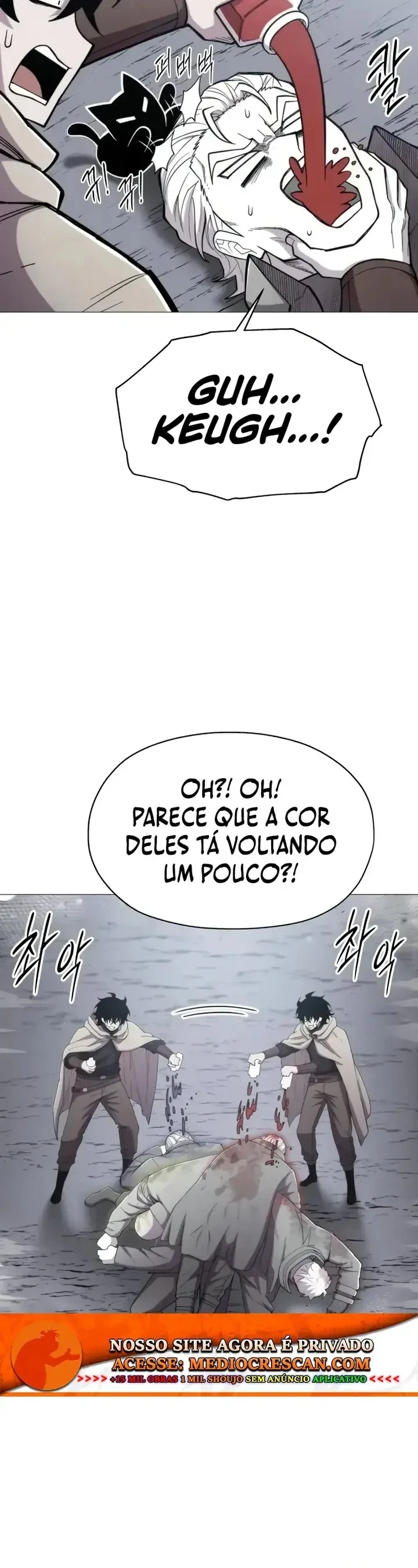 Página 6 do Capítulo 17