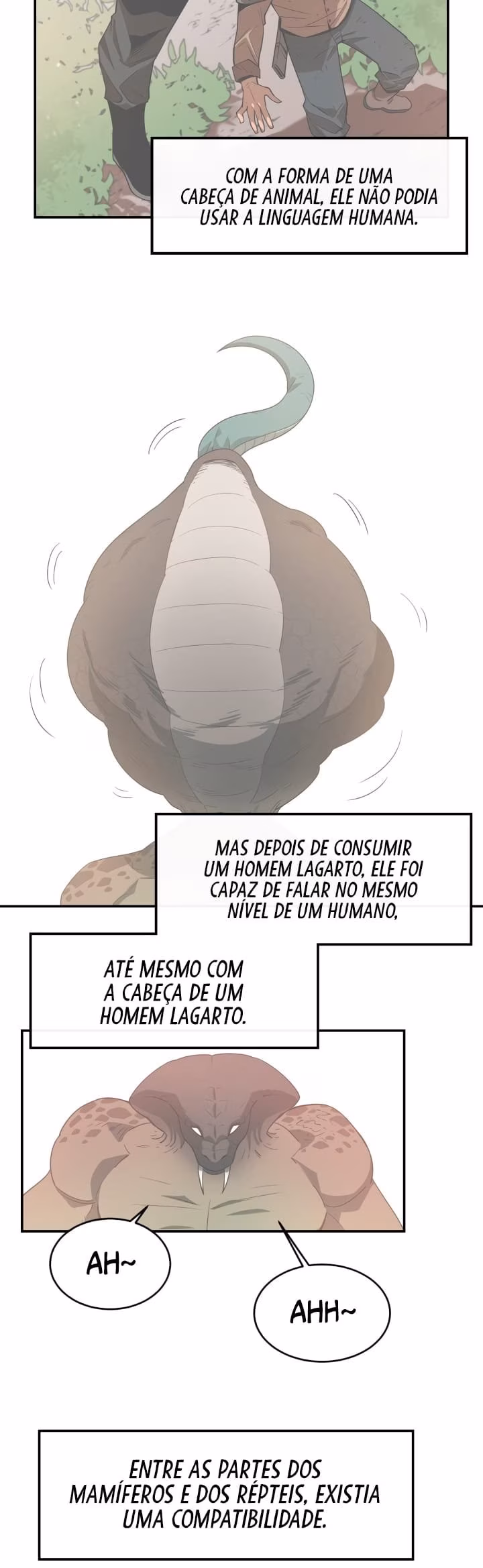Página 26 do Capítulo 5