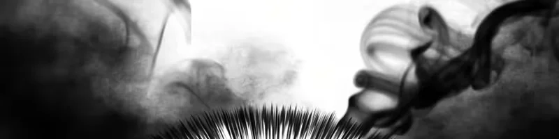 Página 13 do Capítulo 13
