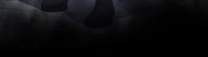 Página 33 do Capítulo 41