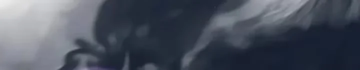 Página 123 do Capítulo 54