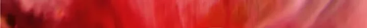 Página 15 do Capítulo 74