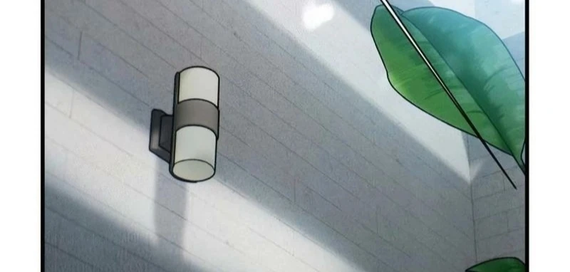 Página 38 do Capítulo 52