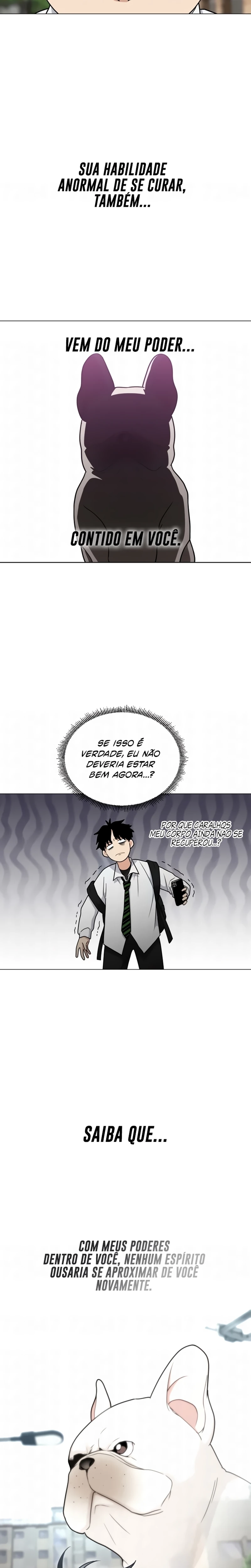 Página 5 do Capítulo 19