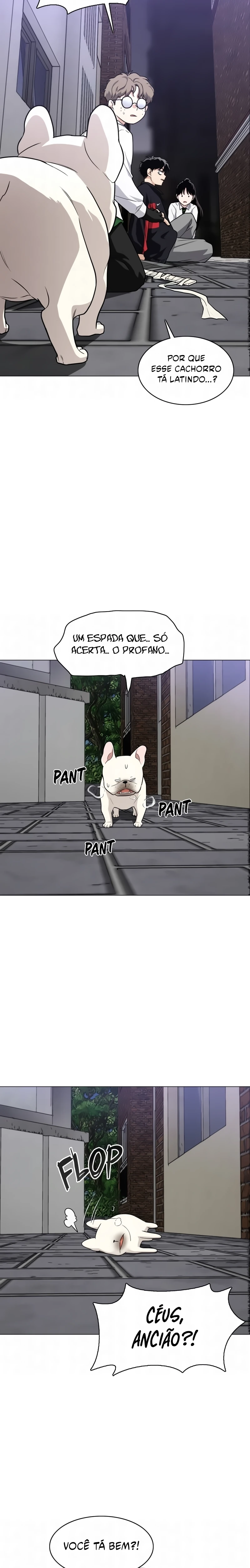 Página 17 do Capítulo 26