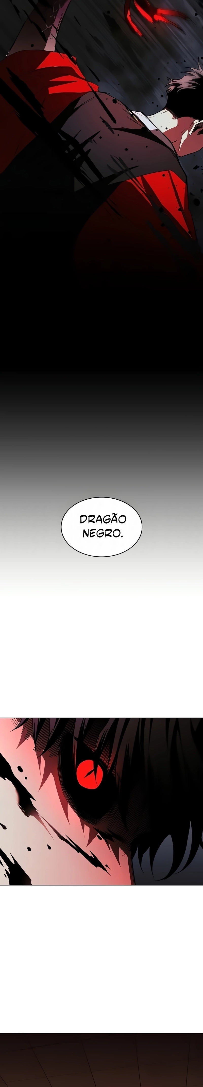 Página 13 do Capítulo 99