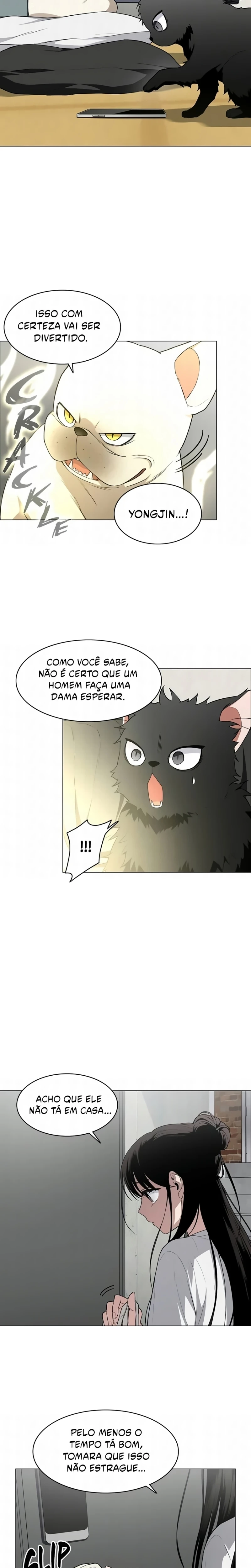 Página 13 do Capítulo 75