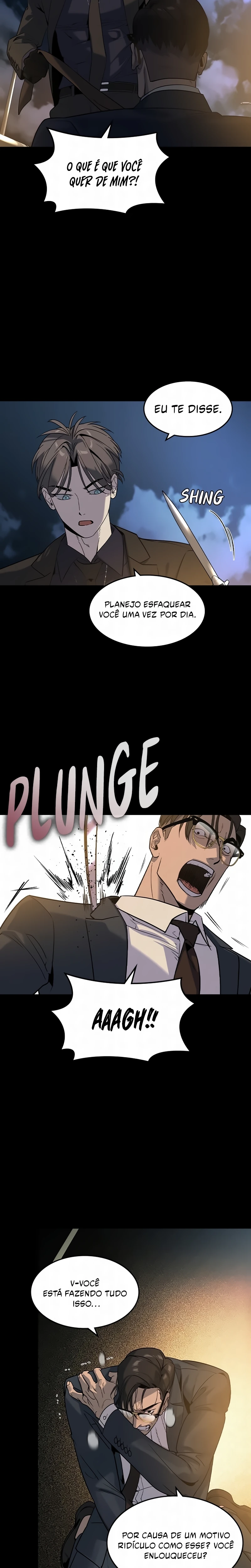 Página 13 do Capítulo 17