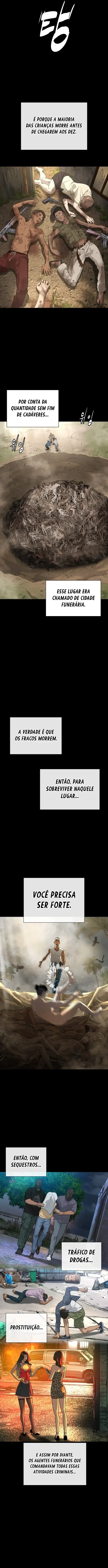 Página 19 do Capítulo 19