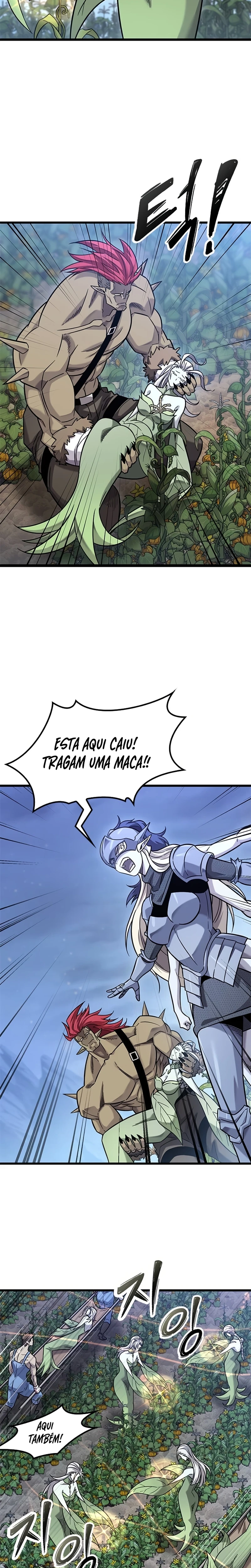Página 13 do Capítulo 41