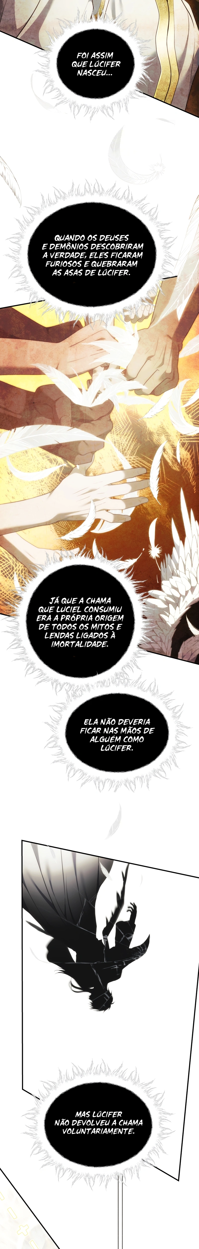 Página 13 do Capítulo 205
