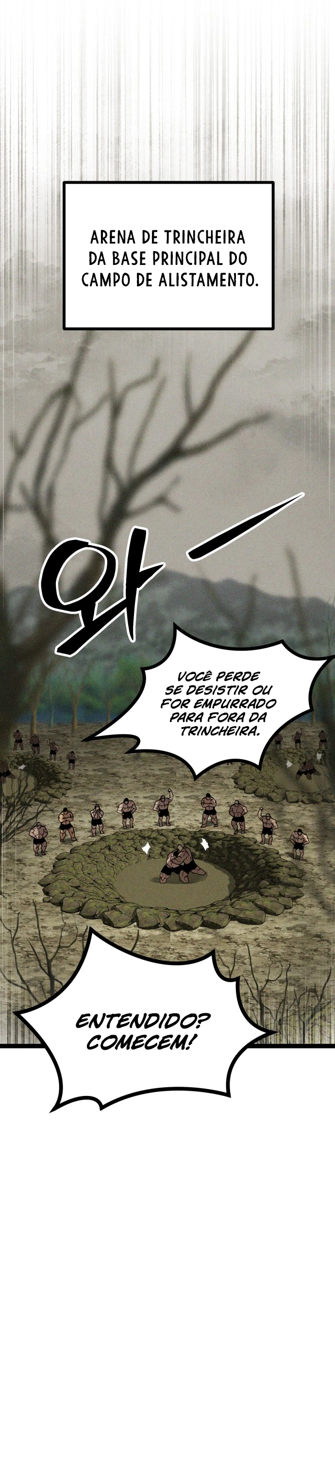 Página 17 do Capítulo 14