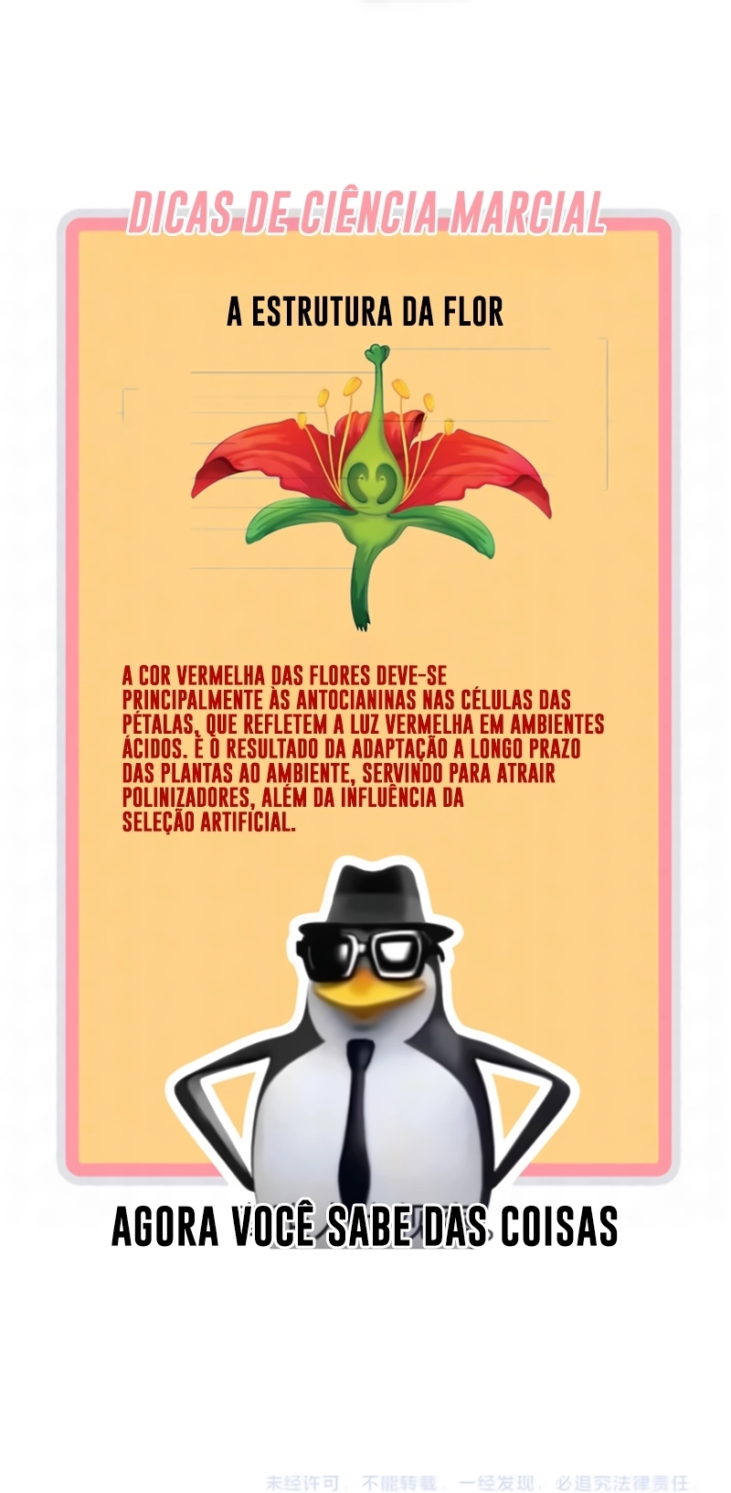 Página 22 do Capítulo 493