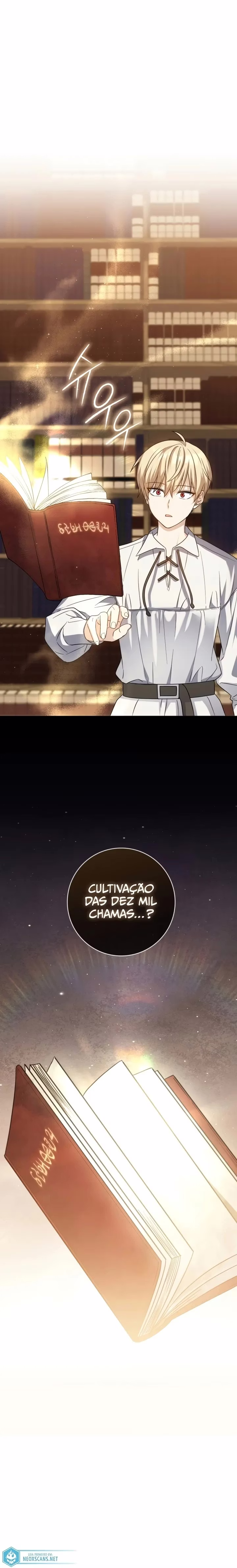 Página 17 do Capítulo 15