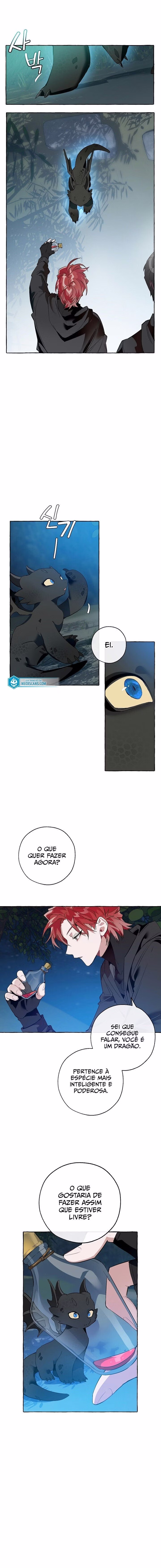 Página 4 do Capítulo 20