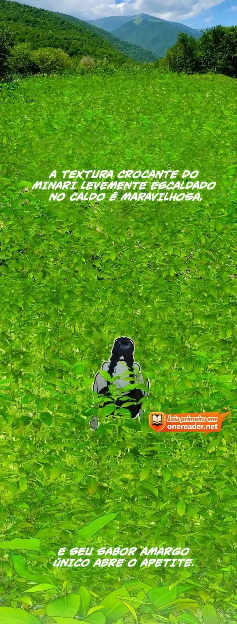 Página 29 do Capítulo 20