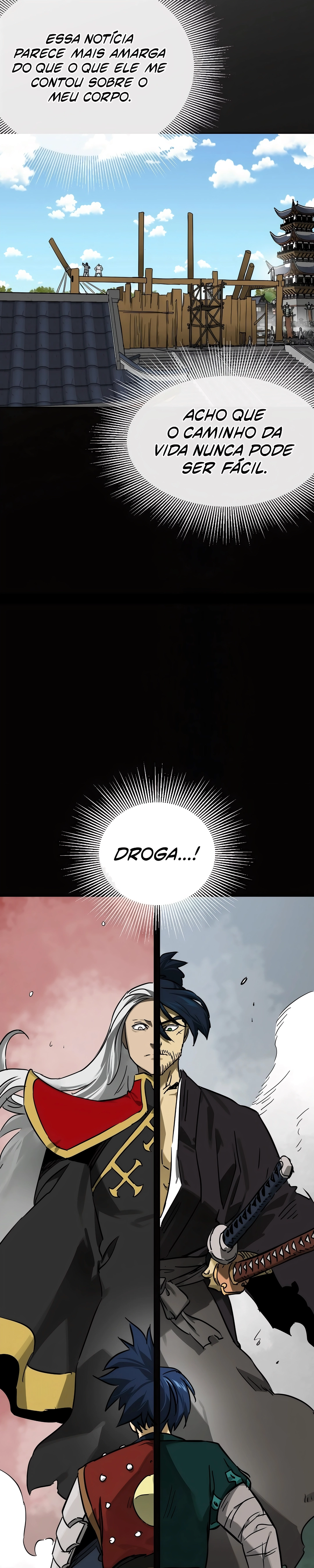 Página 13 do Capítulo 255