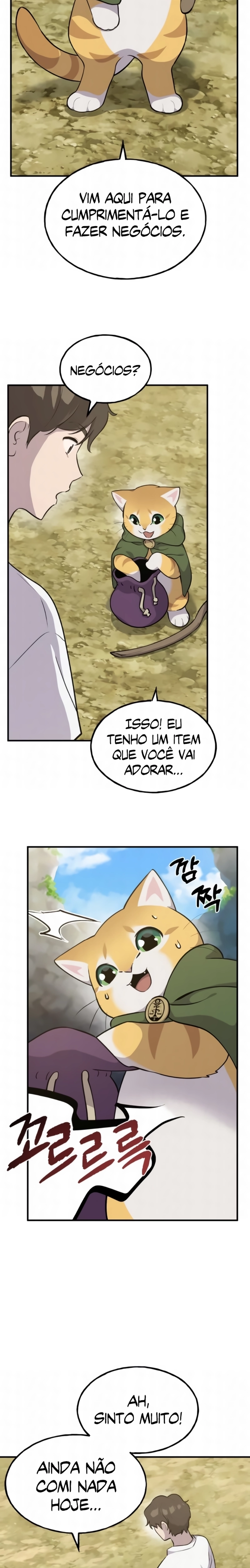 Página 4 do Capítulo 11