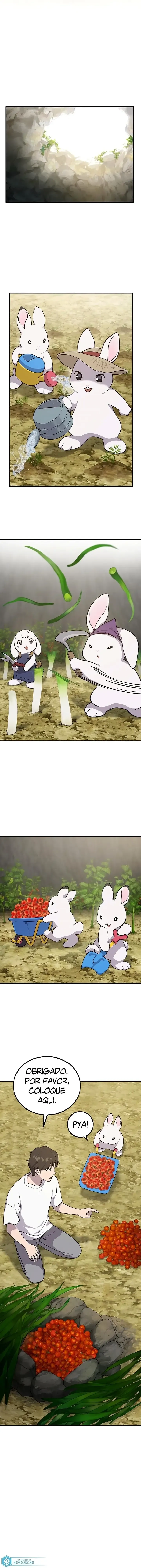 Página 10 do Capítulo 10