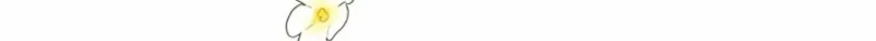 Página 52 do Capítulo 162