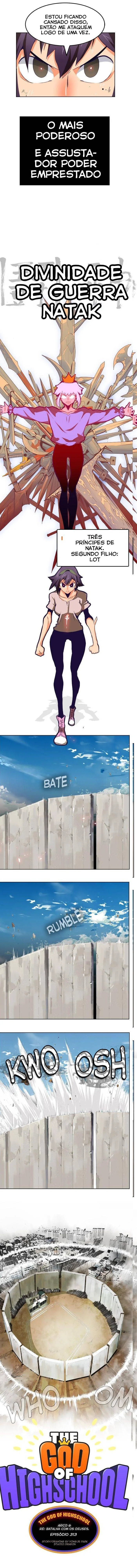 Página 1 do Capítulo 313