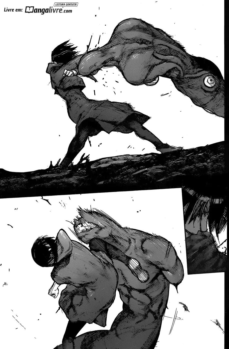 Página 13 do Capítulo 160