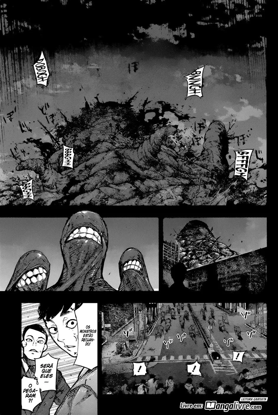 Página 13 do Capítulo 161