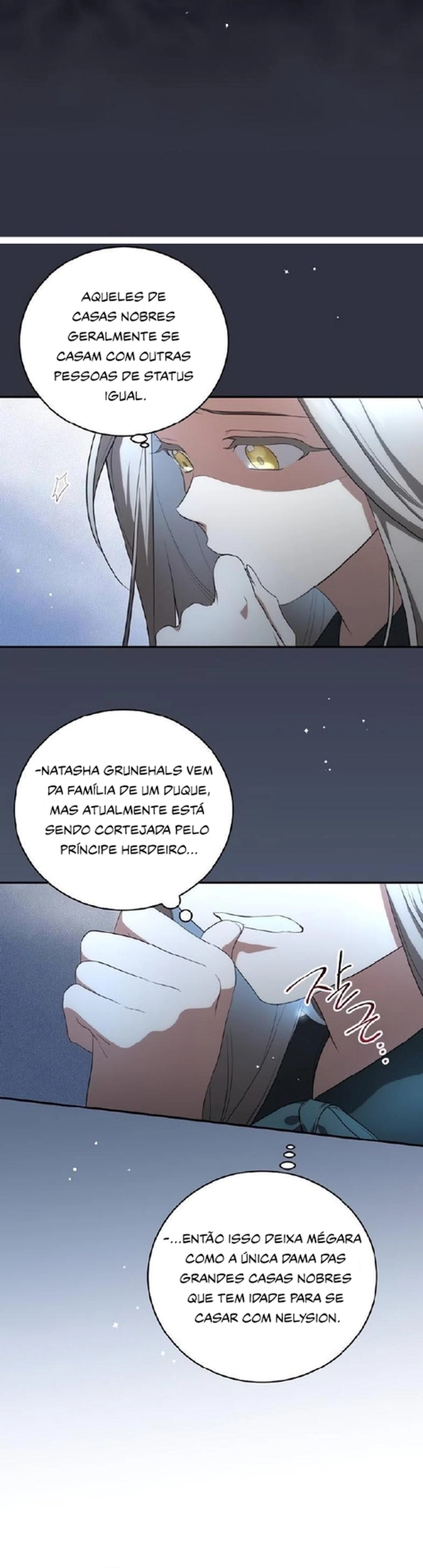 Página 17 do Capítulo 13