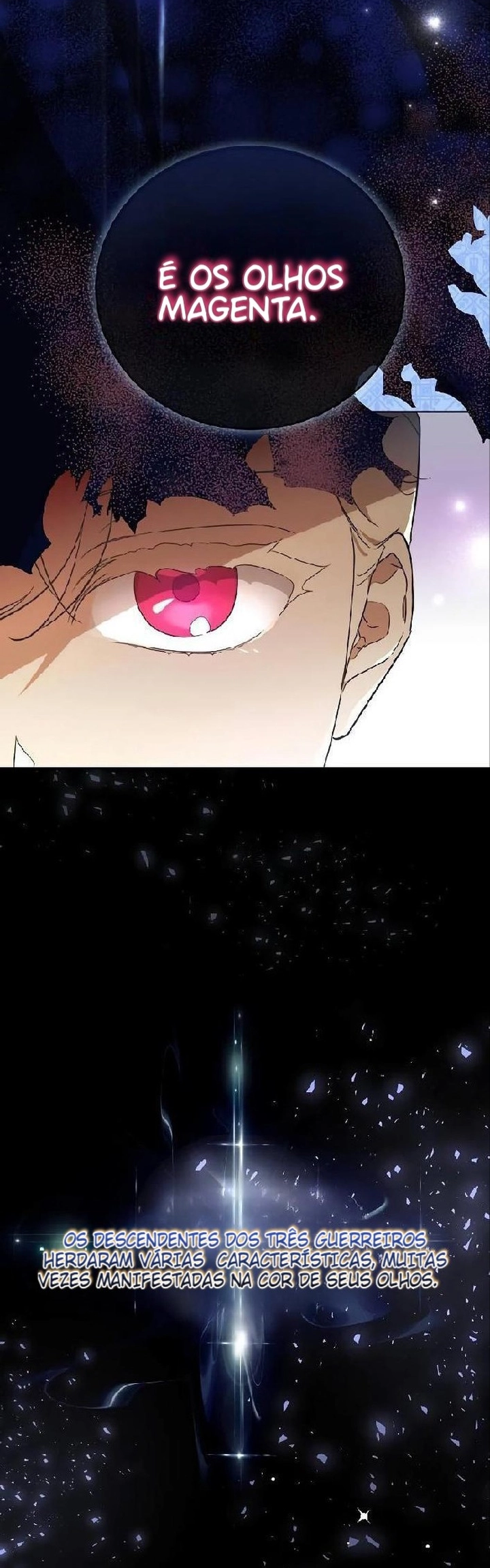 Página 12 do Capítulo 2
