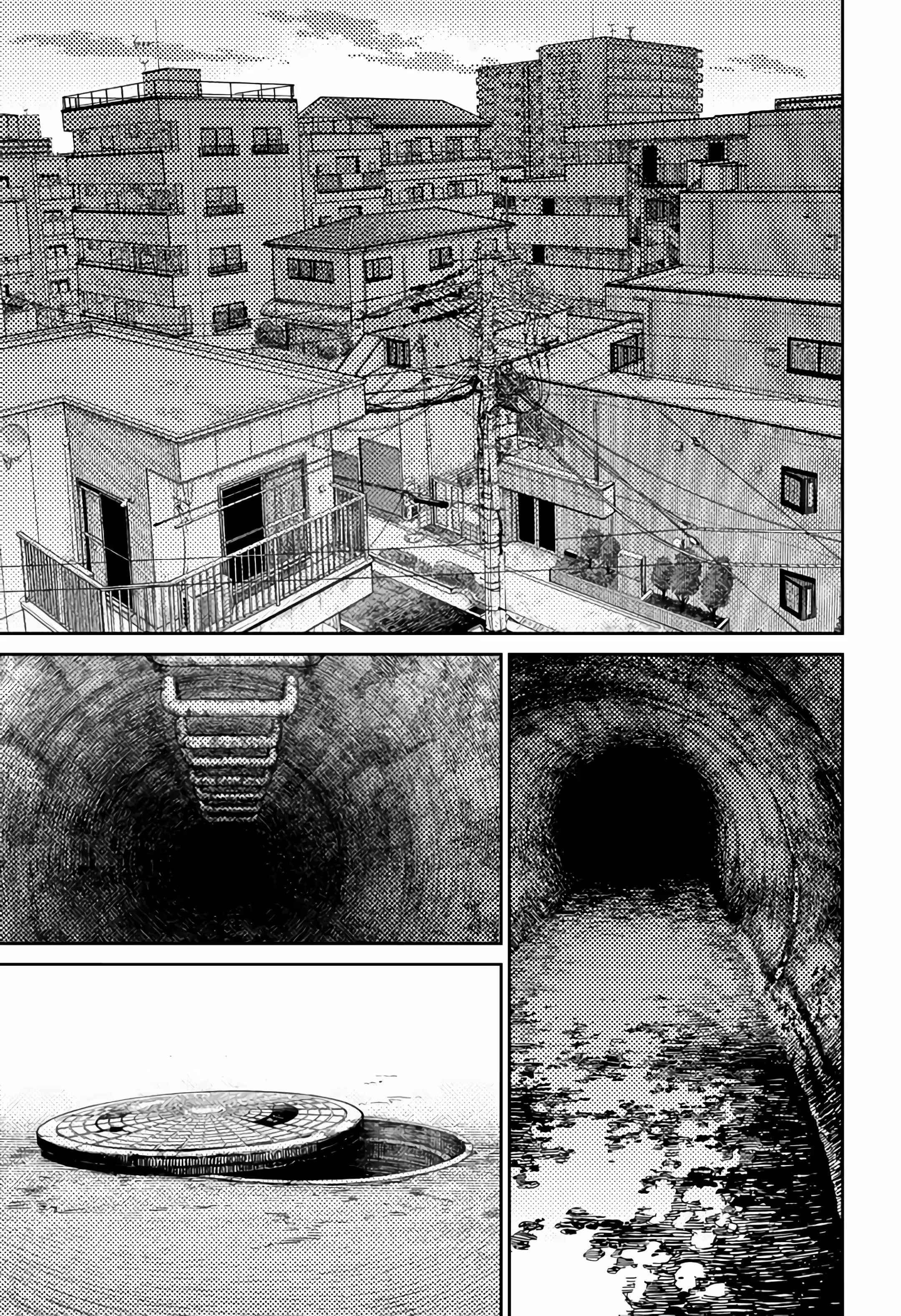 Página 17 do Capítulo 81